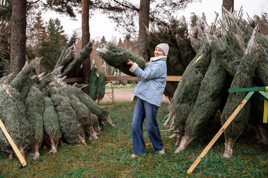 Woman carrying freshly cut Christmas tree at outdoor tree farm during winter holiday season