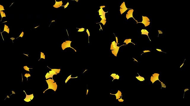 水彩風 黄金色のイチョウが左下から舞う[4K-背景透過] Autumn Series:Watercolor-style golden ginkgo leaves fluttering up from the bottom left[with Alpha Channel / Transparent Background]4K