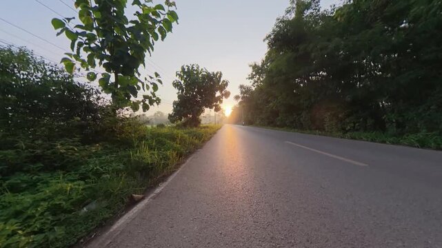 Scenic rural road illuminated by warm sunset light, surrounded by lush tropical trees and greenery, creating a peaceful countryside landscape and travel atmosphere.