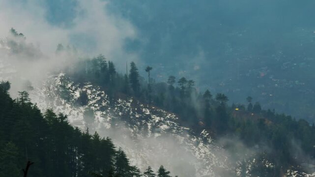 4K shot of clouds covering the Pine tree forest during the winter season as seen from Manali in Himachal Pradesh, India. Scenic view of clouds surrounding the Pine trees during winter storm.