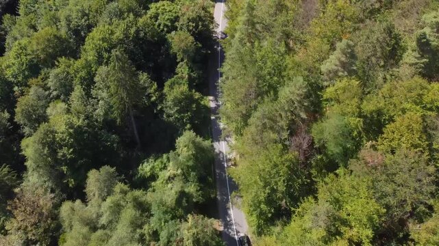 Top-down aerial view of a yellow classic car driving along a narrow asphalt road surrounded by dense, lush forest canopy in Bihor County near Bratca, Romania.