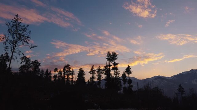 4K Silhouette shot of Pine tree forest on the Himalayan mountains during the sunset with orange clouds in the sky in winter season as seen from Manali in Himachal Pradesh, India. Natural background.