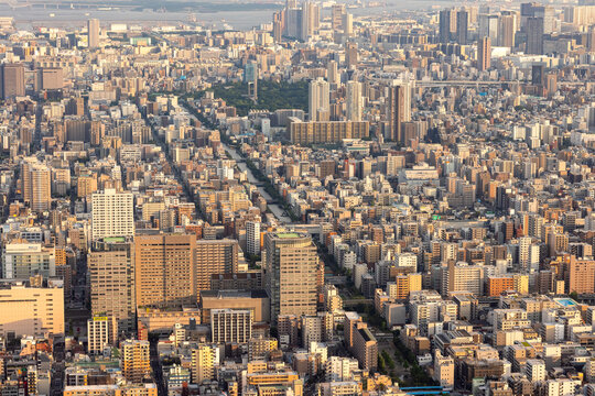 Golden Hour Over Dense Tokyo Neighborhoods