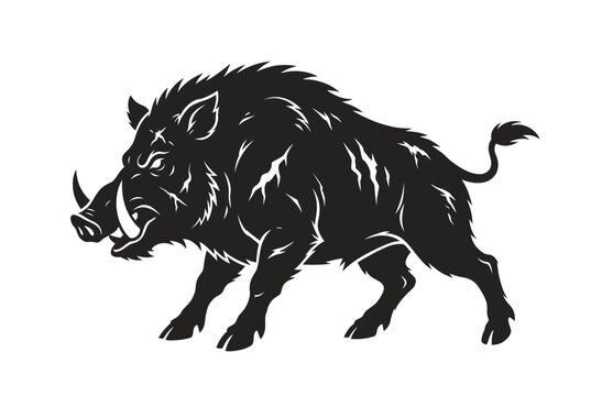 Wild boar running in black silhouette style