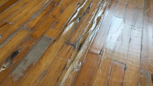 Damaged hardwood floor with peeling varnish and water damage. Home renovation and flooring repair concept