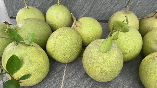Fresh green pomelo fruits arranged on a neutral surface in Vietnam, showcasing their round shape, green peel, and natural appearance.