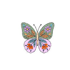 butterfly on white background © Chotiwan