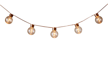 Copper wire string lights with glowing round glass Edison bulbs © Otillie
