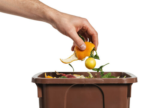Hand dropping orange peel and small yellow fruit into a brown organic waste bin for composting purposes isolated on a transparent background