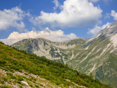 Pirin Mountains National Park Bulgaria green alpine evergreen pine forest, Bansko