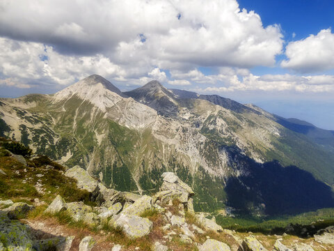 Pirin Mountains National Park Bulgaria green alpine evergreen pine forest, Bansko