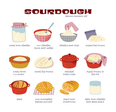 Sourdough Bread Baking Process Infographic with Starter Dough Proofing and Dutch Oven Steps, Rust Cream Blue Palette, Flat Vector Illustration