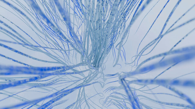 Abstract flowing blue strands forming a network pattern in digital art