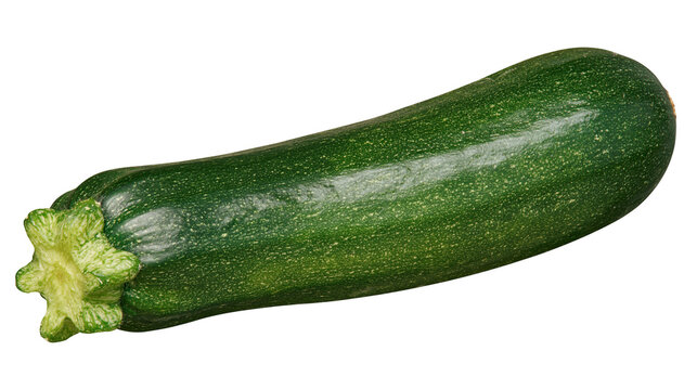 Fresh whole green zucchini squash with textured skin and stem