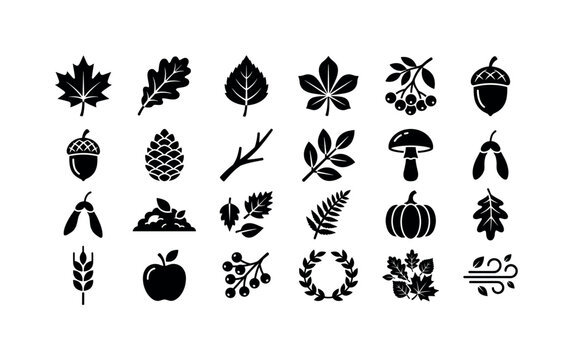 Autumn Foliage Botanicals, solid glyph icon set featuring maple leaf, oak leaf, birch leaf, chestnut leaf, rowan berries, acorn, pine cone, twig, branch, mushroom, seed pod, fallen leaf pile, forest