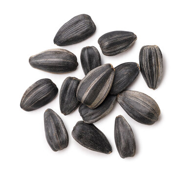 Sunflower seeds close-up on a white. Top view