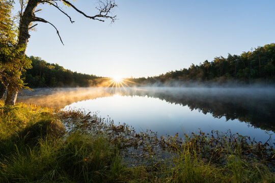 Sunrise over calm foggy lake Paunkula Suur Kaksjarv with golden sunstar reflecting on water, mist above lake surface, forest background, Estonia