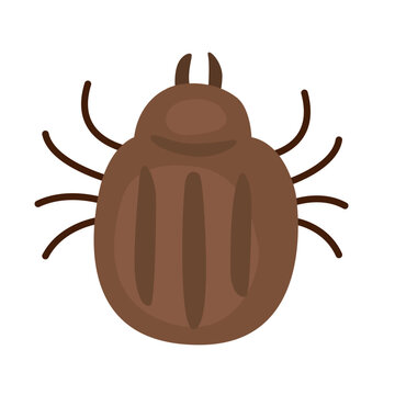 Tick carrier virus. SFTS (Severe Fever with Thrombocytopenia Syndrome) concept