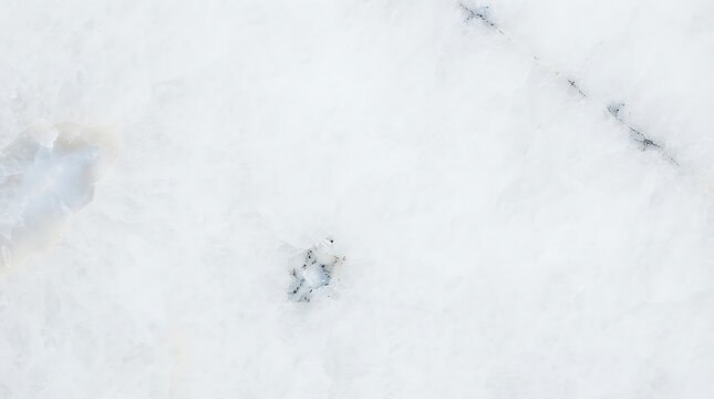 A high-resolution close-up of white marble stone with subtle grey veins, ideal for luxury interior design backgrounds and textures