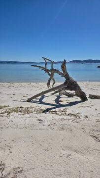 Idyllic landscape of a wild, idyllic beach with a log on the sand.