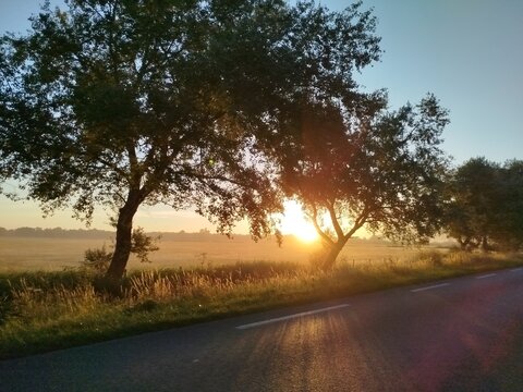 road in the morning