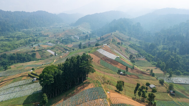 Aerial view of terraced agricultural fields on rolling hills with patches of forest and small farm structures in Sukabumi, West Java, Indonesia.