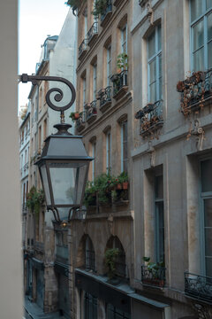 Parisian street lamp hanging above old apartment buildings with windows and balconies decorated with plants