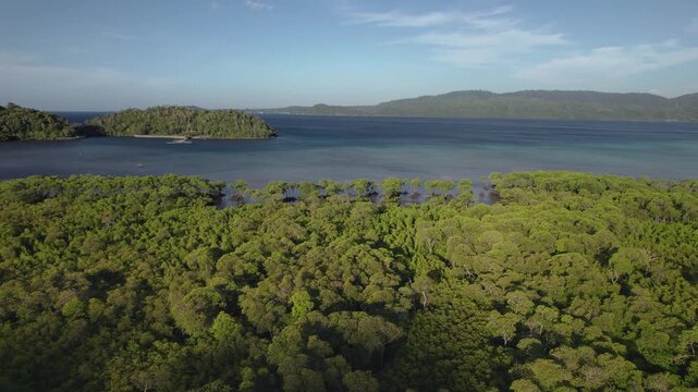 Aerial drone footage moving forward and descending toward a mangrove-covered coastal bay on a tropical island in Aceh Province, Indonesia