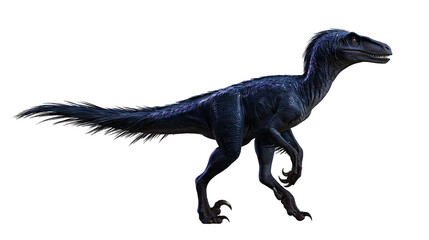 Dark blue feathered velociraptor dinosaur standing in profile © Peregrine