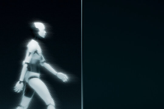 3D Robot Distorted Identity