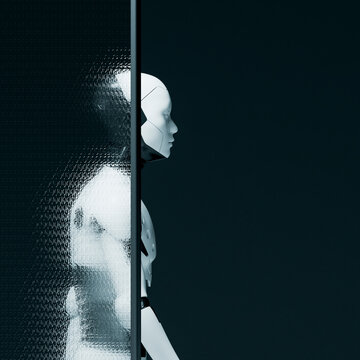 3D Robot Optical Distortion