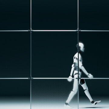 3D Robot Digital Divide