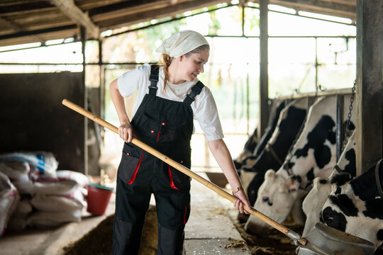 Caucasian young female dairy farmer working in a modern cowshed.