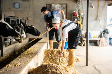 Caucasian man and woman dairy farmers working together at livestock farm.  © Kawee