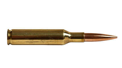 Shiny brass rifle cartridge with copper bullet © Alaric