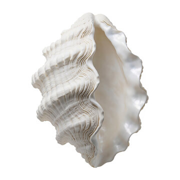 Heavy fluted Tridacna gigas giant clam shell with deep undulating zig-zag ridges and pearlescent porcelain white interior, isolated and centered product on pure white background.