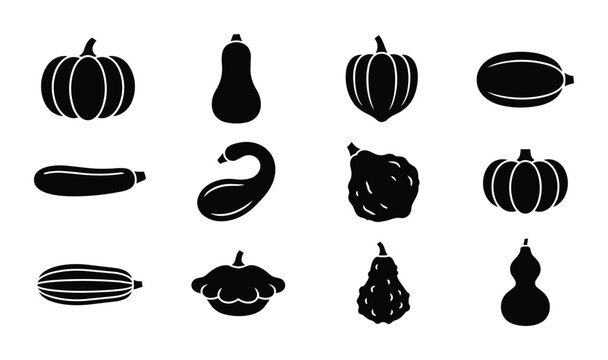 Diverse Squash and Gourd Vector Icons, Autumn Harvest Collection, Seasonal Produce Graphics, Healthy Food Illustrations