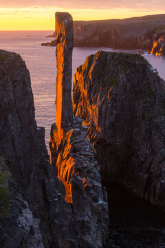 Newfoundland