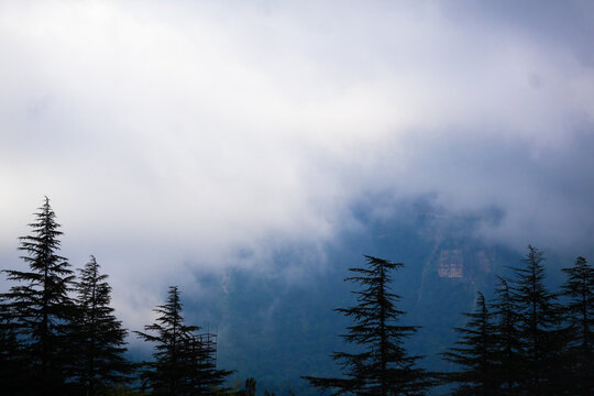 Dense Fog Rolling Over a Forested Mountain in Georgia