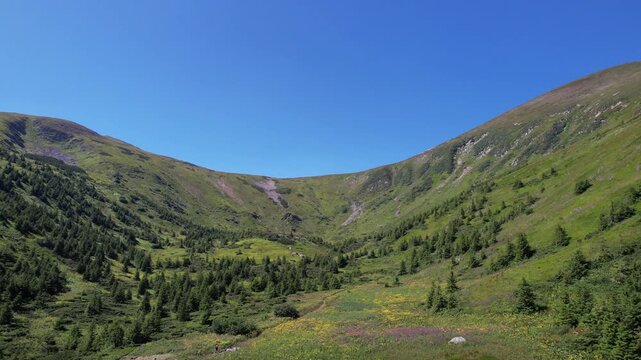 Aerial Drone View of Steep Mountain Cirque and Valley Slopes with Evergreen Trees under Clear Blue Sky on Sunny Summer Day in Wilderness