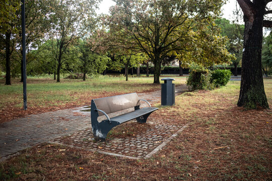 Panchina vuota in un parco pubblico circondata da alberi e foglie secche sul prato, concetto di solitudine, relax e quiete urbana in una giornata autunnale o di fine estate
