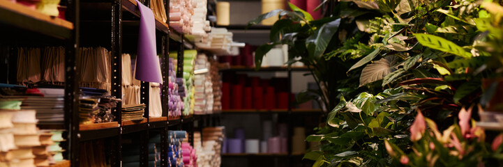 Obraz premium Header of shelves holding wrapping paper rolls and packaging materials beside lush green potted plants in florist warehouse workshop. Suitable for floristry, gardening retail, small business marketing