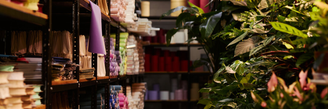 Header of shelves holding wrapping paper rolls and packaging materials beside lush green potted plants in florist warehouse workshop. Suitable for floristry, gardening retail, small business marketing