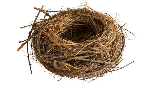 Empty bird nest made of woven brown twigs and dry grass