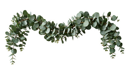 Green eucalyptus leaf garland with round foliage on flexible stems © darietta