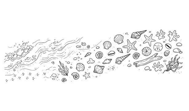 Beach Shells and Starfish Hand Drawn Sketch Doodle Vector Illustration