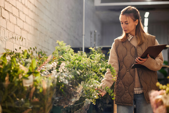 Young Caucasian female florist holding clipboard, inspecting green plants in flower warehouse. Scene represents inventory management, suitable for floral retail marketing campaigns