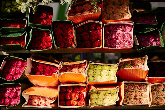 Close-up view of fresh colorful roses packed in cardboard boxes displayed on shelves at wholesale flower market, ideal for floral retail advertising and supply chain concepts
