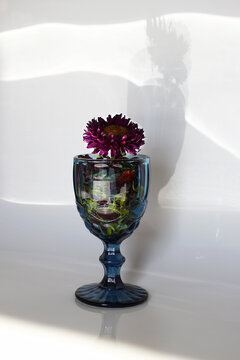 Blue glass goblet holds a vibrant purple flower. The background features soft shadows and light patterns, creating a serene atmosphere.