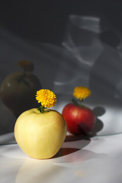 Yellow apple with yellow flower on top sits in the foreground, while red apple is positioned behind it. The background is softly blurred.